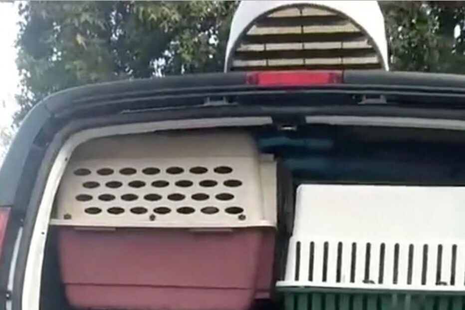 EUA preparam-se para receber impacto do 