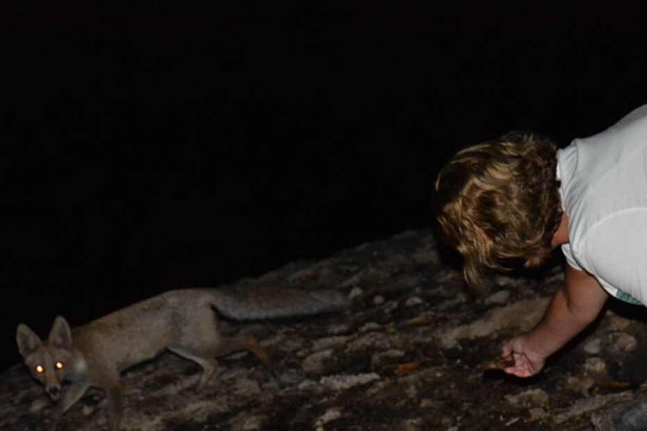 2018-09-14_11_14_05 41264746_10209986675183863_1885821265231478784_n.jpg