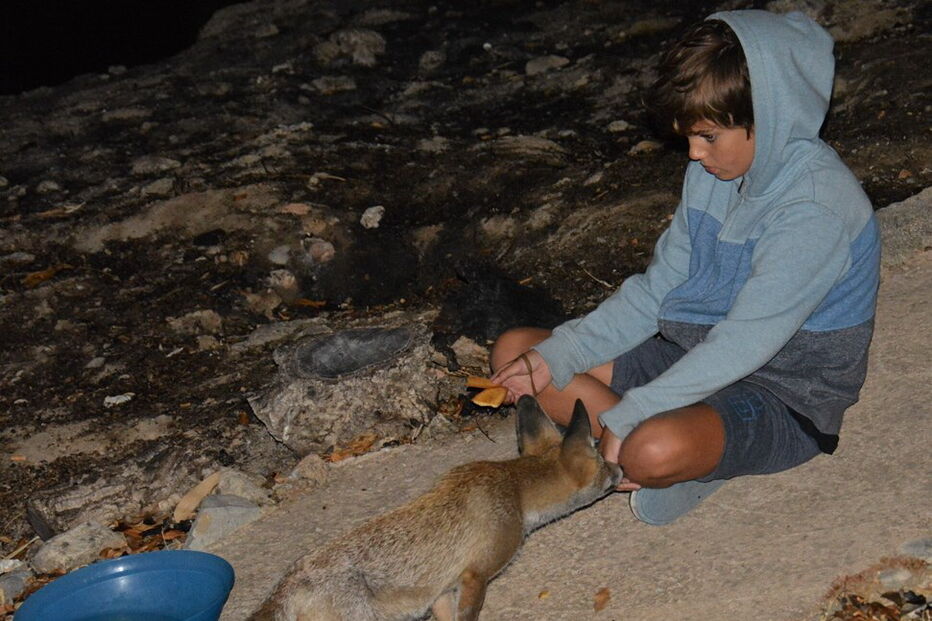 2018-09-14_11_14_18 41377106_10209986672823804_8051537343112282112_o.jpg