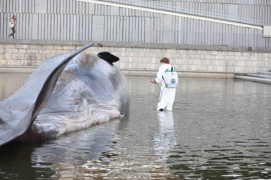 Figura hiper-realista de um cachalote apareceu em Madrid