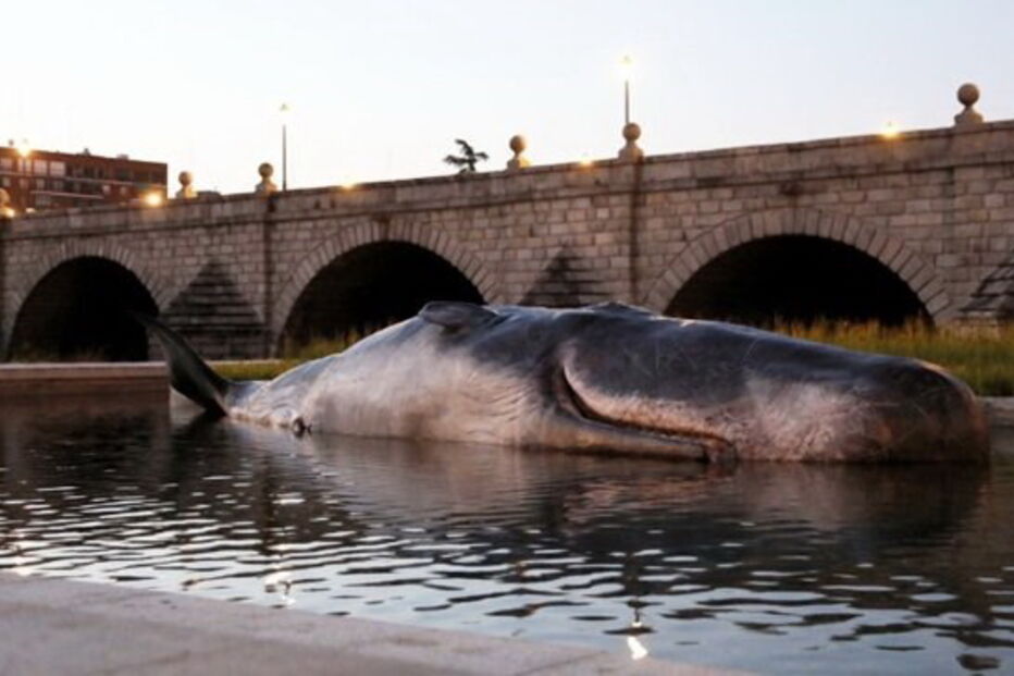Figura hiper-realista de um cachalote apareceu em Madrid