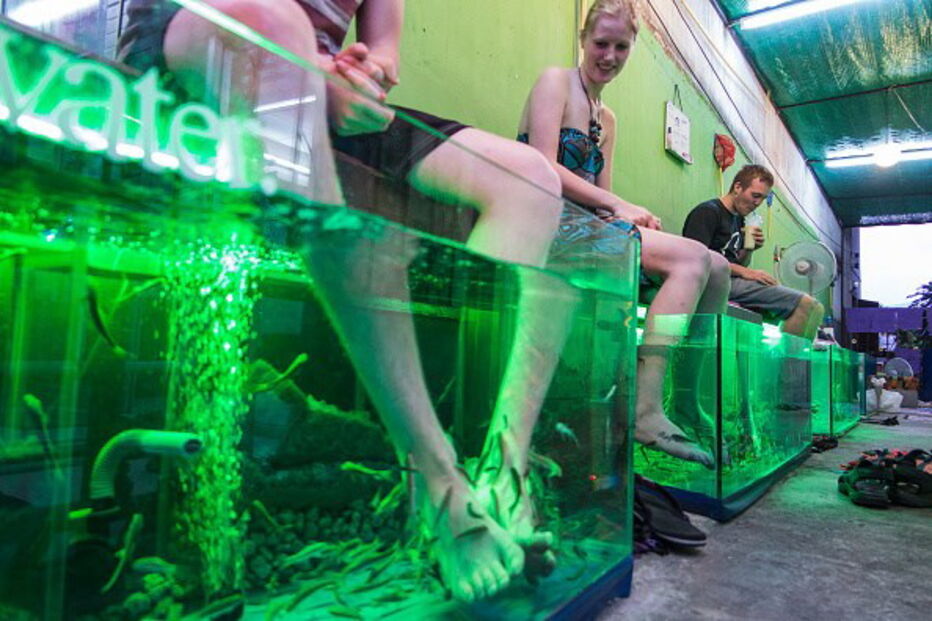 Pedicure com peixes