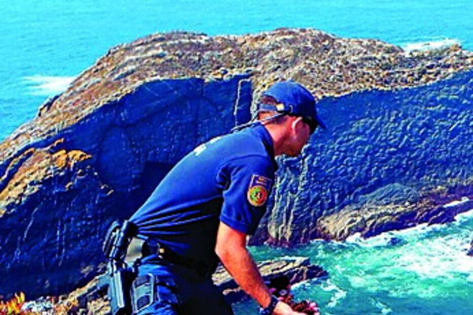 Lapas foram devolvidas à natureza