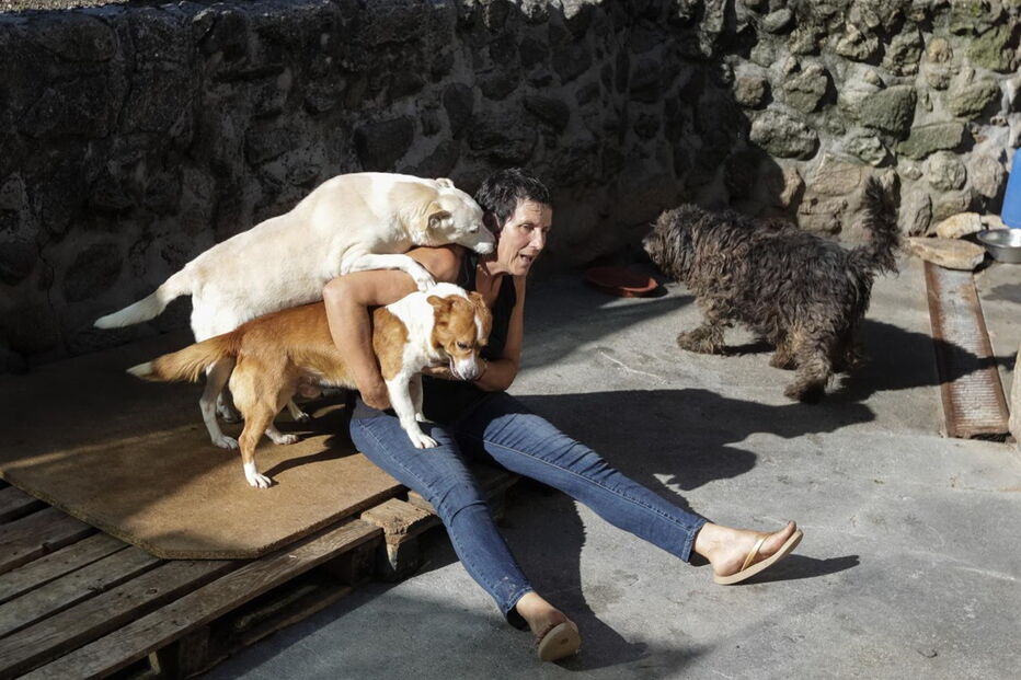 Tobias foi o primeiro, agora Clara tem 88 cães que recolheu das ruas 