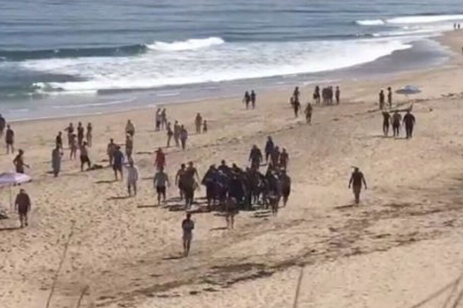 Ataque de tubarão mata jovem nos Estados Unidos