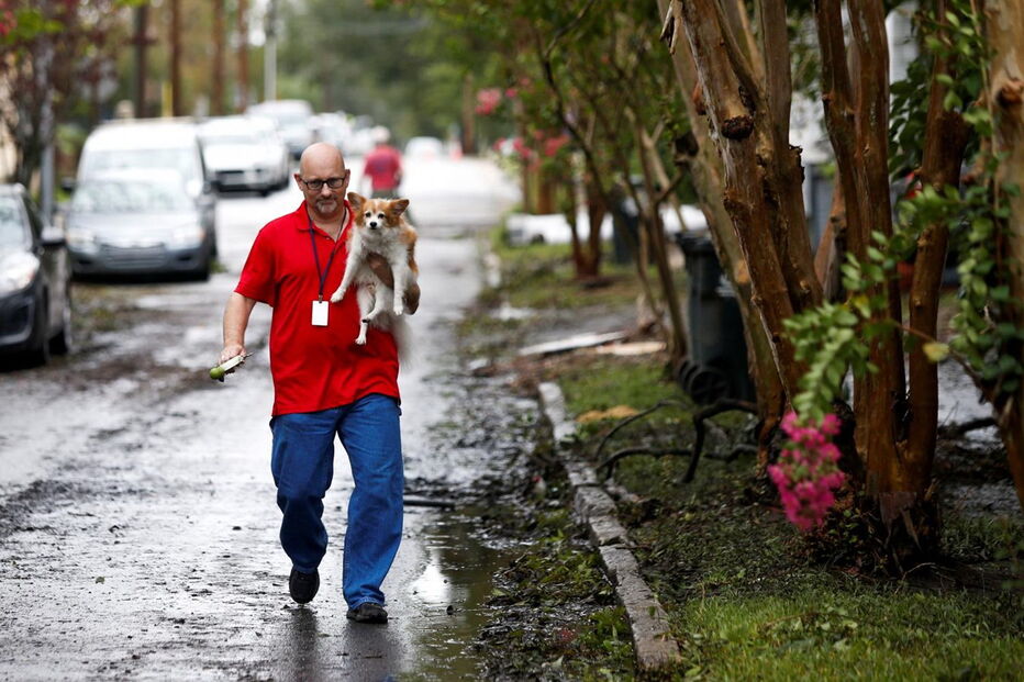 Animais resgatados na tempestade Florence