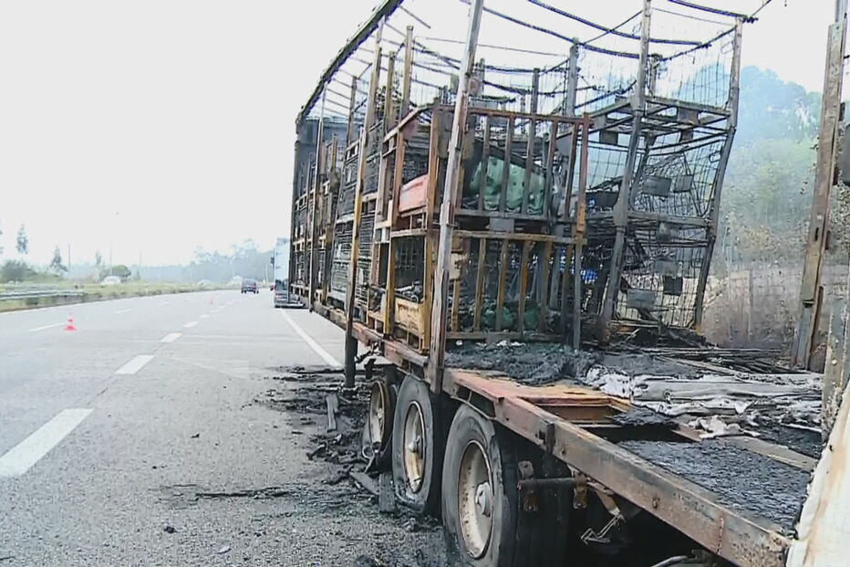 Camião arde em andamento na A28 na Póvoa de Varzim