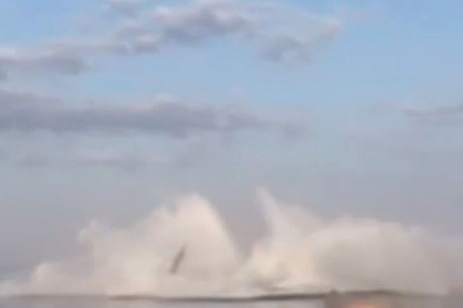 Três baleias surpreendem passageiros com mergulhos sincronizados