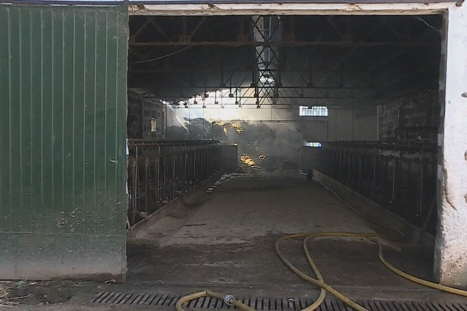 Incêndio deflagrou em vacaria em Santo Tirso