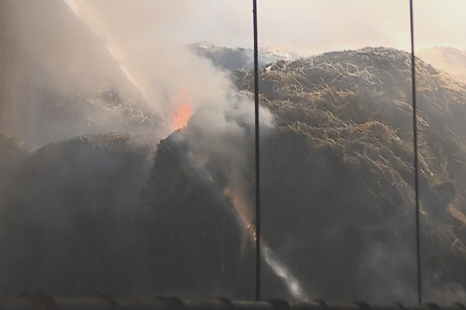 Incêndio deflagrou em vacaria em Santo Tirso