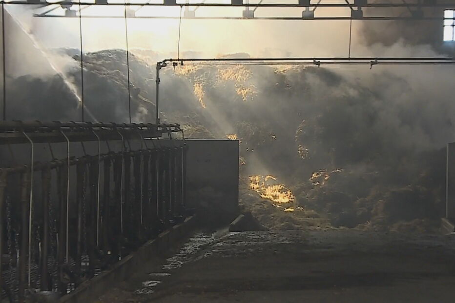 Incêndio deflagrou em vacaria em Santo Tirso