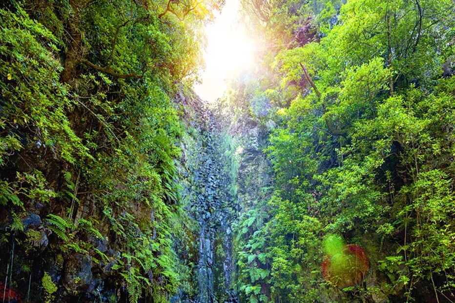 Levada das 25 Fontes