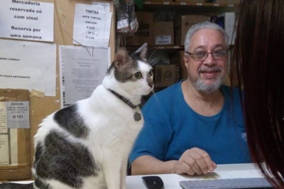 Gato proibido de entrar em Shopping no Brasil