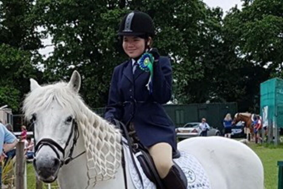 As atividades da associação