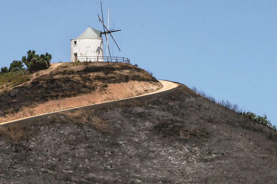 Terrenos ardidos no concelho de Silves 