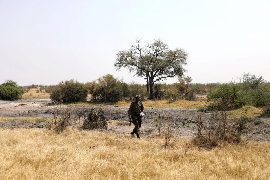 Noventa elefantes mortos no Botswana