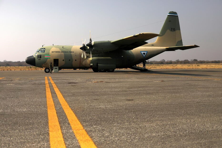 Noventa elefantes mortos no Botswana