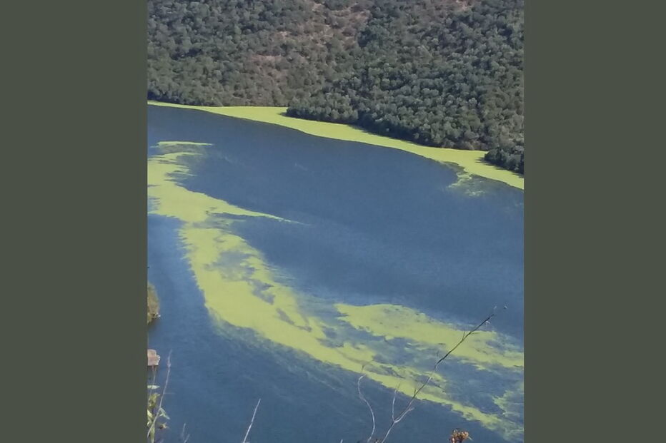 Águas do Tejo com espuma verde junto à barragem de Cedillo na fronteira entre Espanha e Portugal