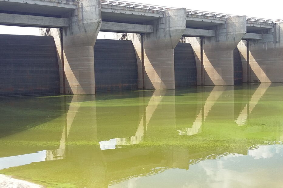 Tejo apresenta-se verde junto à barragem de Alcântara, em Espanha