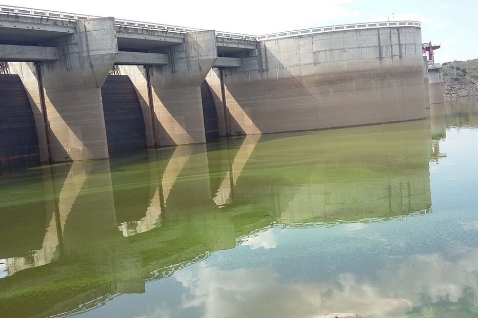 Tejo apresenta-se verde junto à barragem de Alcântara, em Espanha