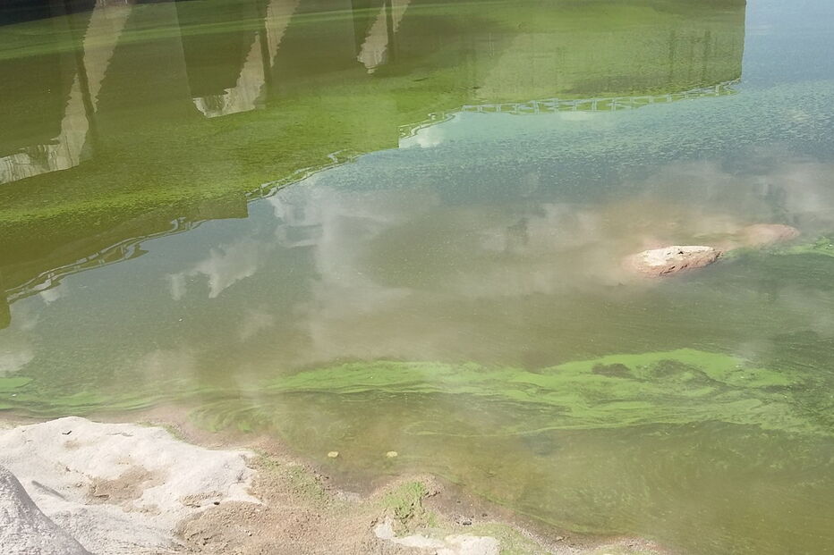 Tejo apresenta-se verde junto à barragem de Alcântara, em Espanha