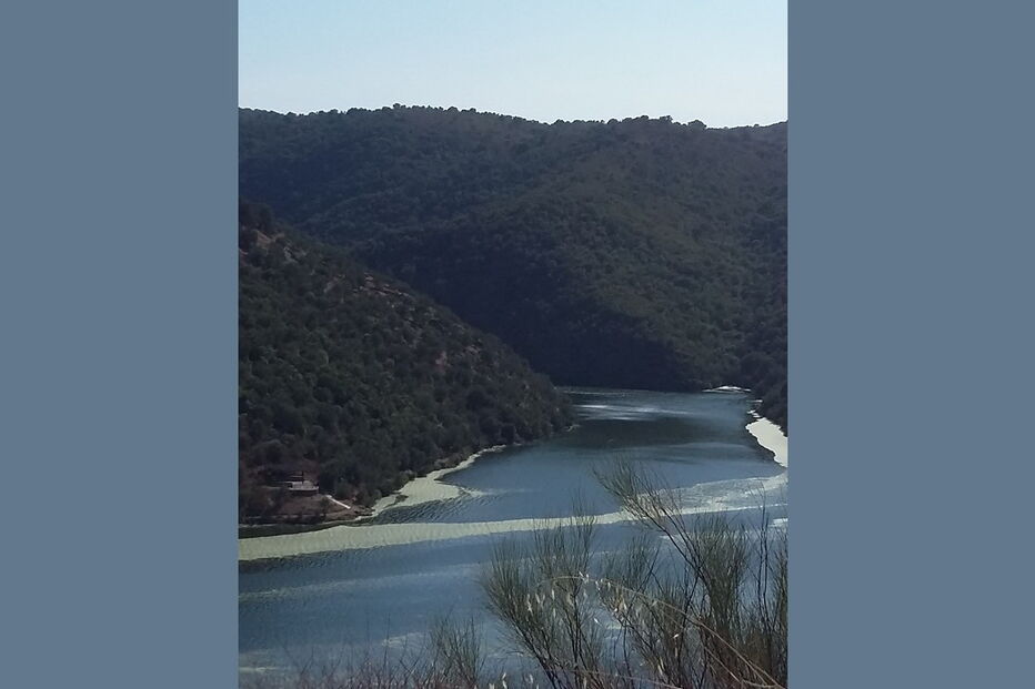 Águas do Tejo com espuma verde junto à barragem de Cedillo na fronteira entre Espanha e Portugal