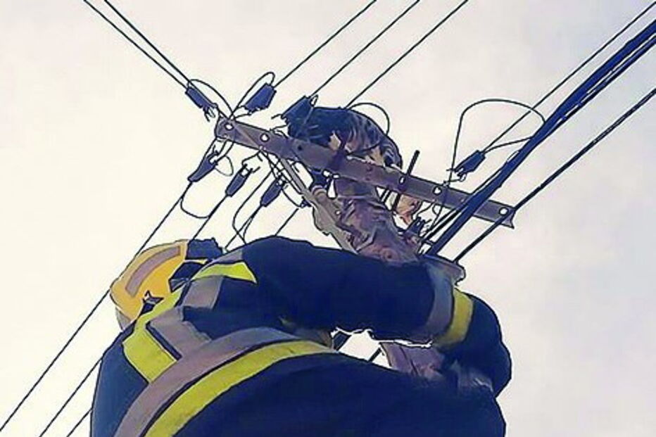 Gato salvo em poste do Pinhal Novo