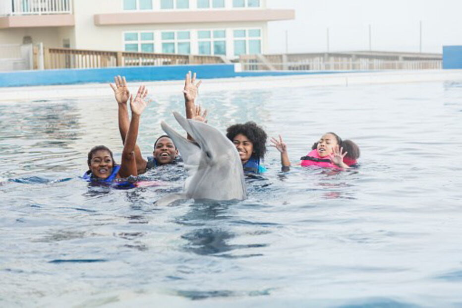 Inubosaki Marine Park Aquarium
