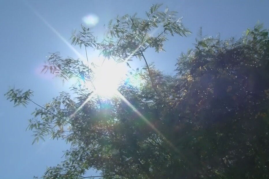 IPMA, Portugal, Temperatura