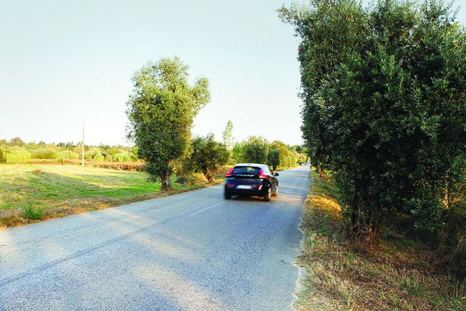 Acidente mortal em Condeixa-a-Nova