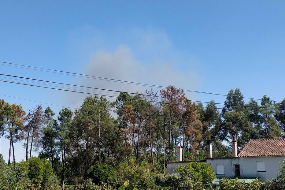 Incêndio em Viseu combatido por mais de 160 operacionais e sete meios aéreos