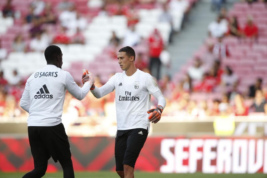 Benfica - Desp. Aves 