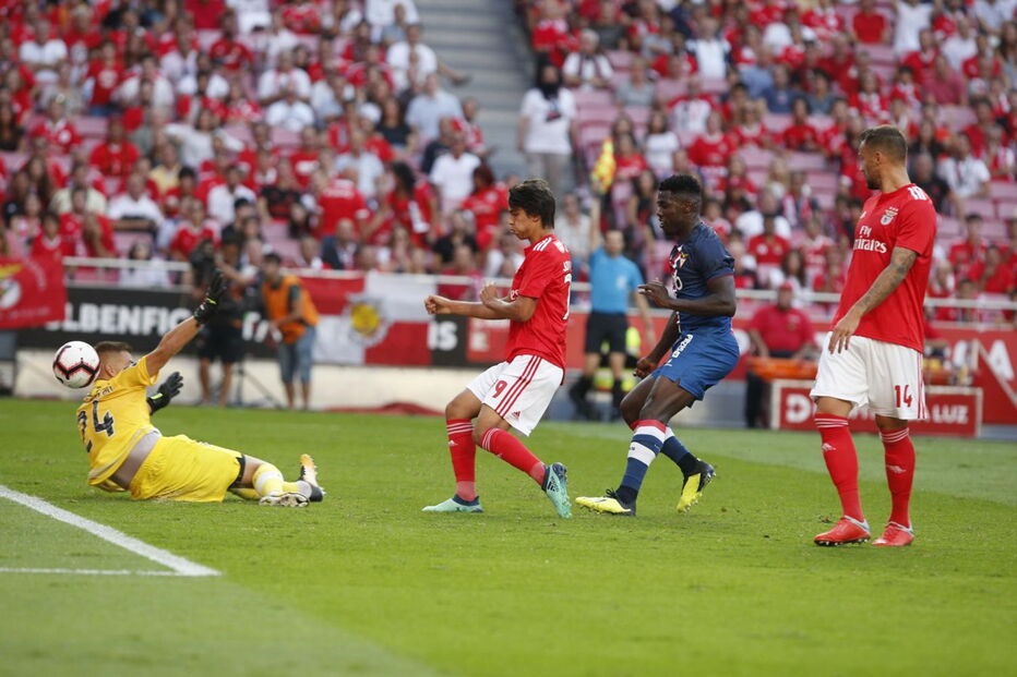 Benfica  - Desp. Aves 