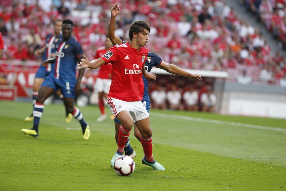 Benfica  - Desp. Aves 