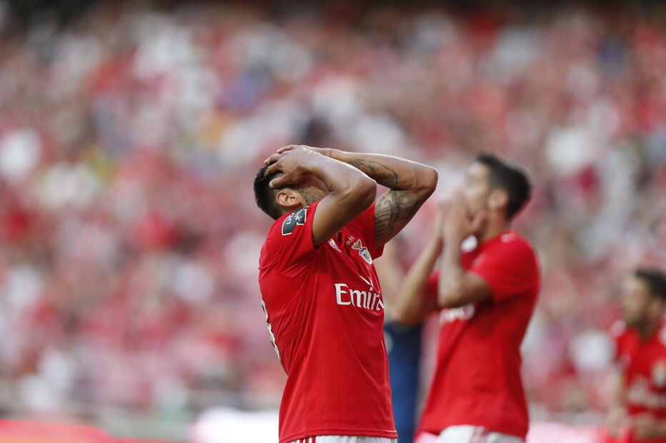 Benfica  -  Desp. Aves