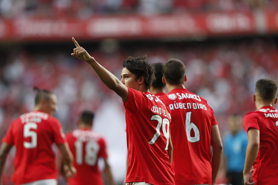 Benfica  -  Desp. Aves