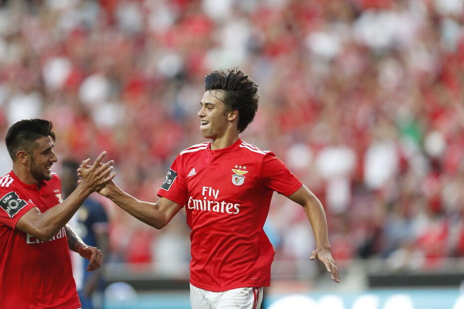 Benfica  -  Desp. Aves