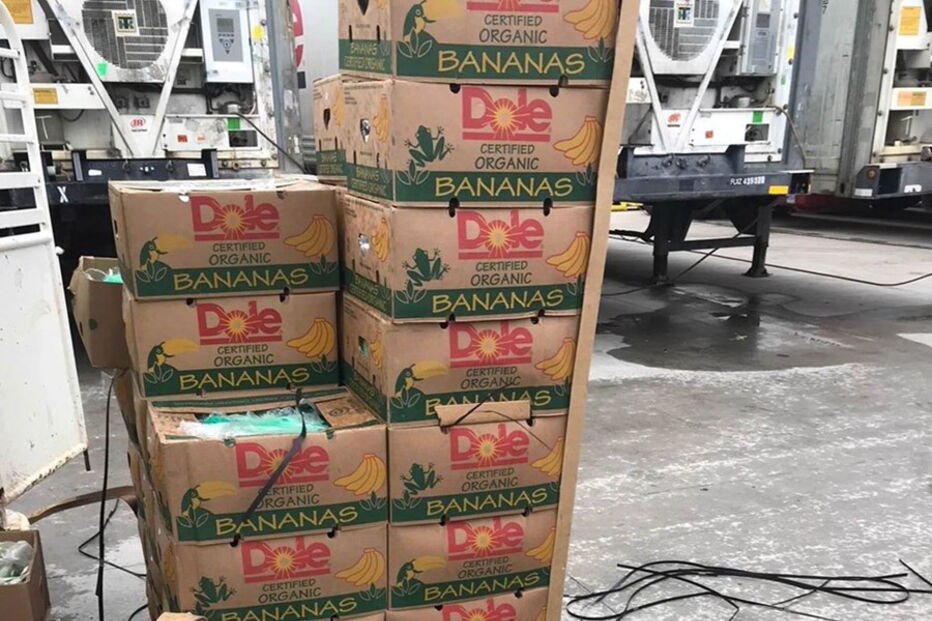 Droga encontrada em bananas