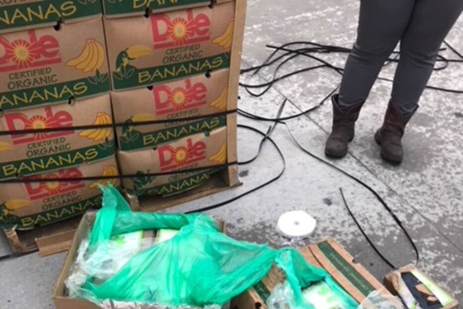 Droga encontrada em bananas