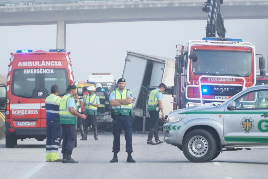 Colisão frontal no IC8 mata seis homens