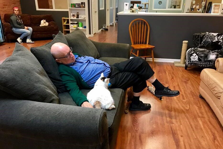 Foto de idoso a dormir ao lado de gato torna-se viral e angaria 30 mil euros