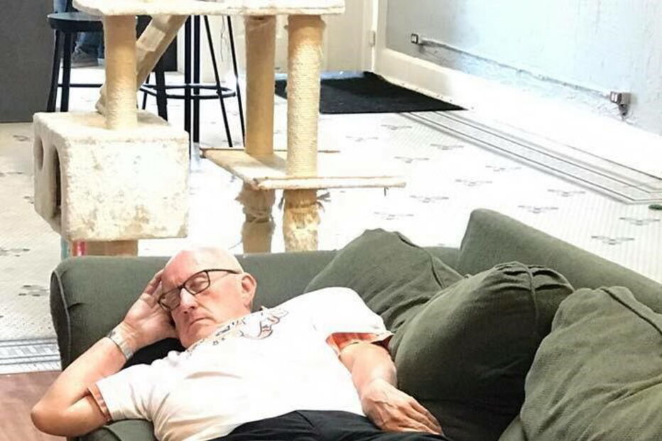 Foto de idoso a dormir ao lado de gato torna-se viral e angaria 30 mil euros