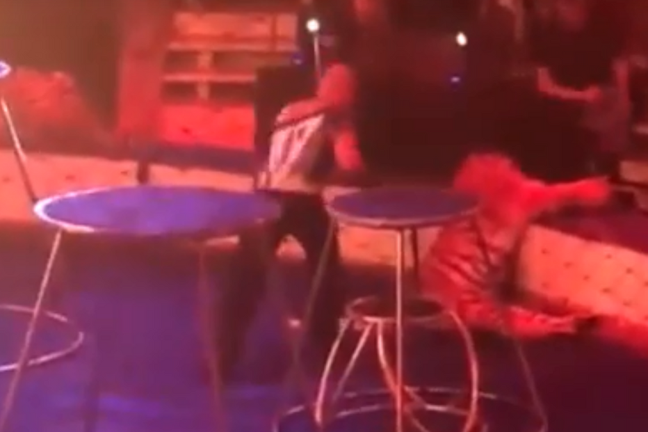 Tigre tem ataque durante espetáculo e colapsa junto ao público