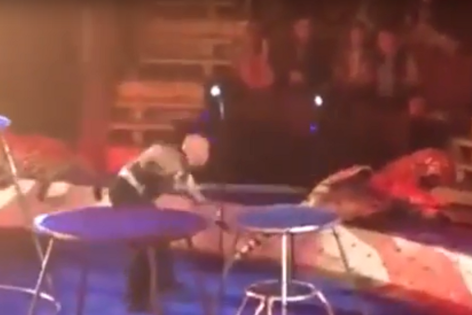 Tigre tem ataque durante espetáculo e colapsa junto ao público