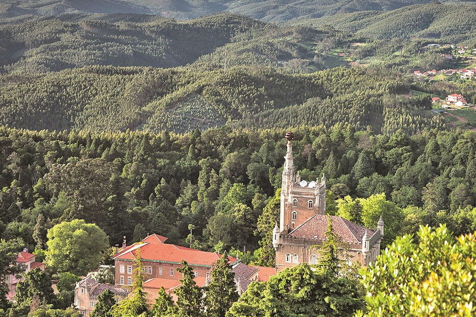 Encantos do Buçaco