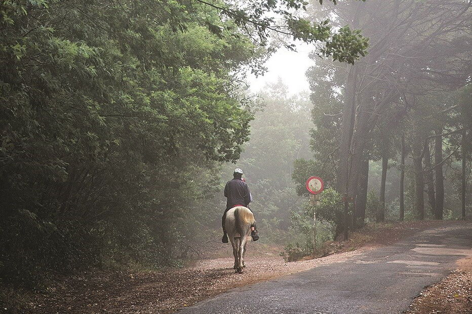 A cavalo na Pena