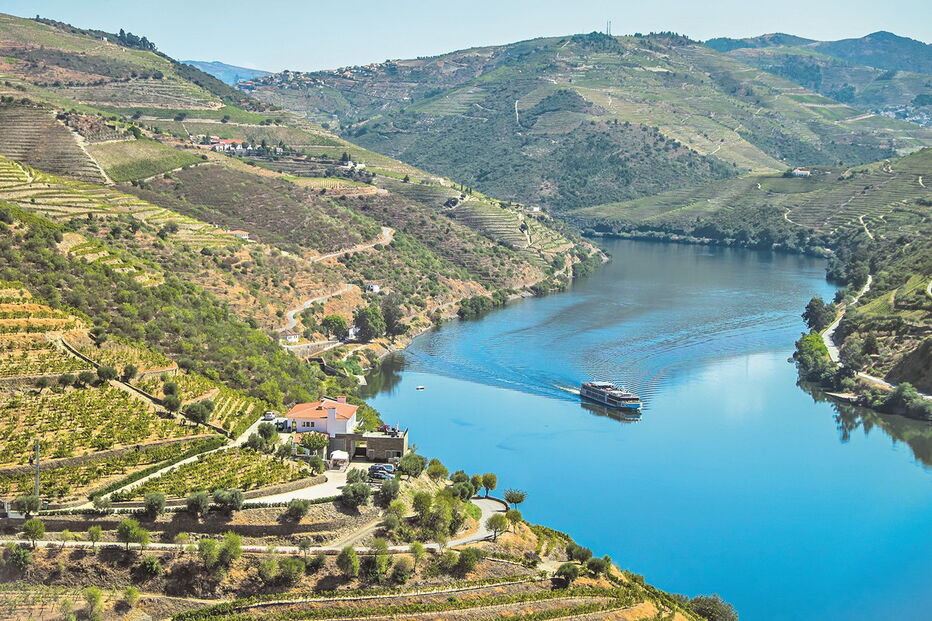 Belos passeios no Douro