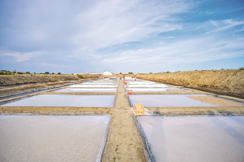 Salinas ainda são uma importante atividade  