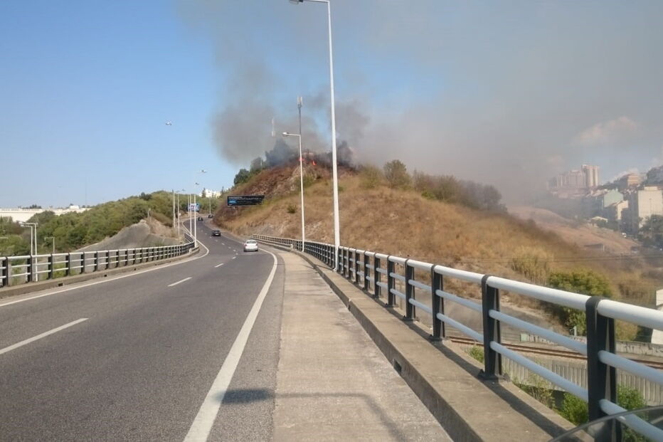 2018-09-27_16_29_15 7db429b1-f527-498d-a626-f38efcffe857.JPG