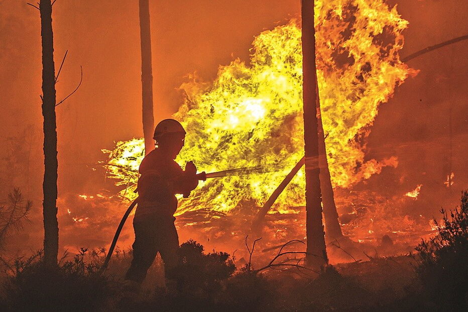 Ateia fogo para agradar a vidente em Cinfães